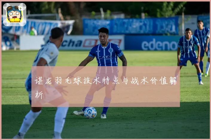 谌龙羽毛球技术特点与战术价值解析