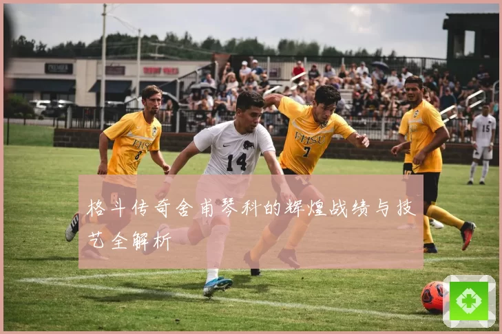 格斗传奇舍甫琴科的辉煌战绩与技艺全解析