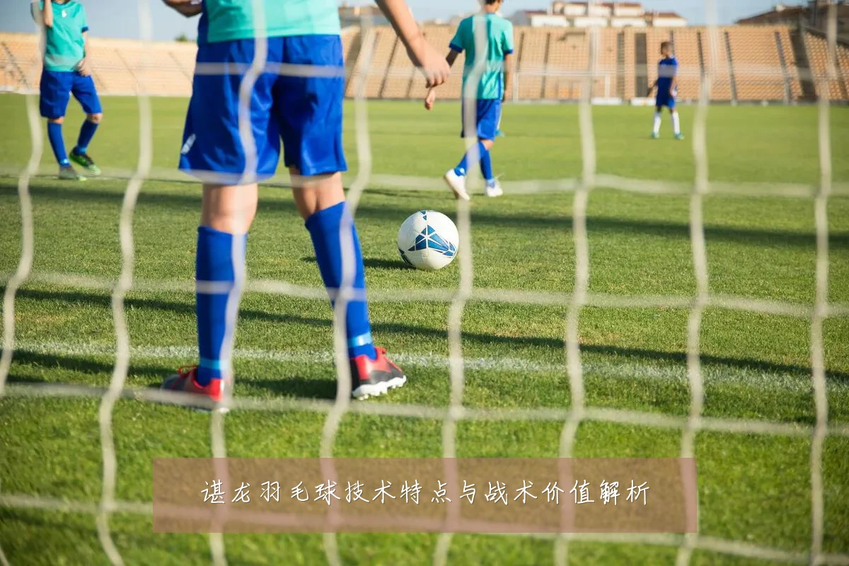 谌龙羽毛球技术特点与战术价值解析