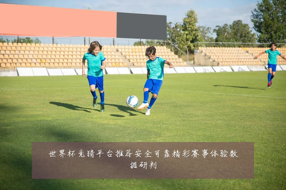 世界杯竞猜平台推荐安全可靠精彩赛事体验数据研判